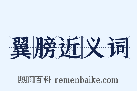 翼膀近义词是什么意思的图片